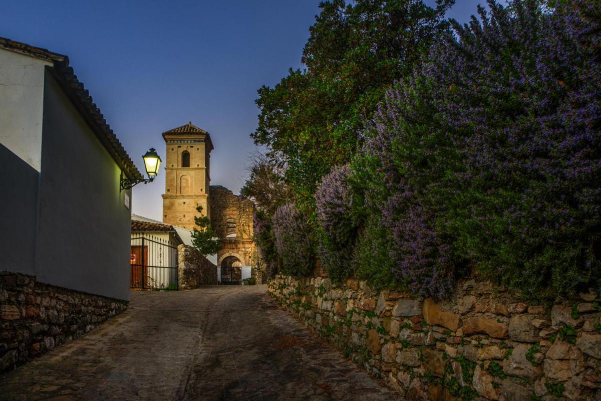 Casa De Los Cuadros Villaluenga Del Rosario Exteriör bild